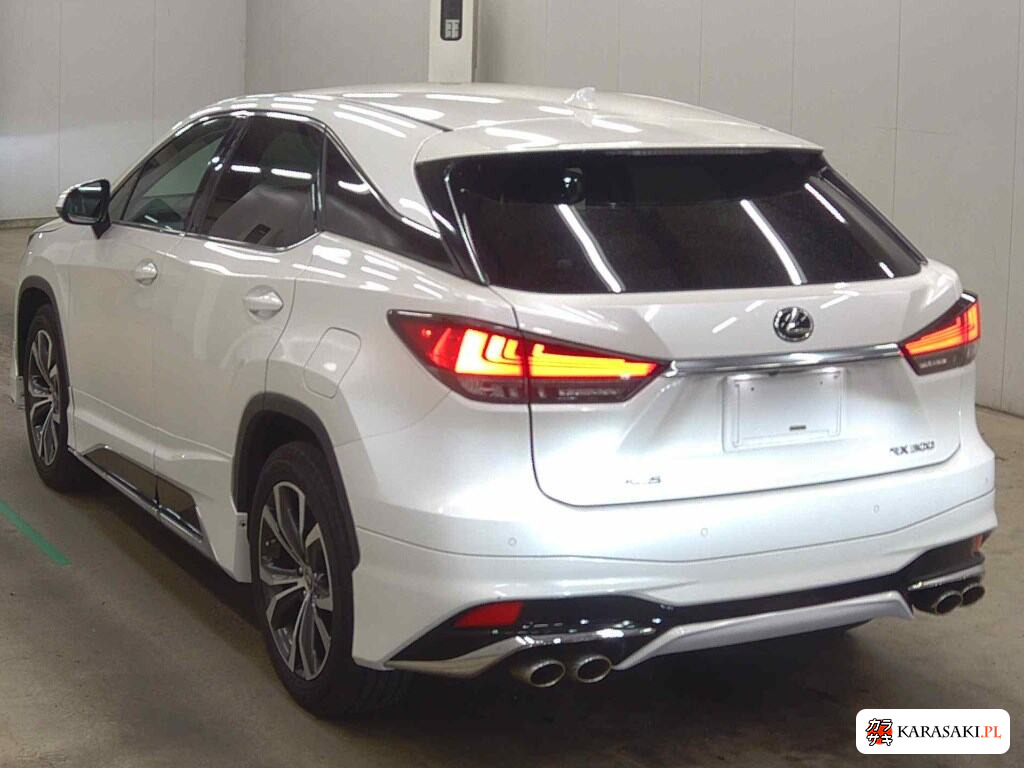 2019 Lexus RX RX300 2