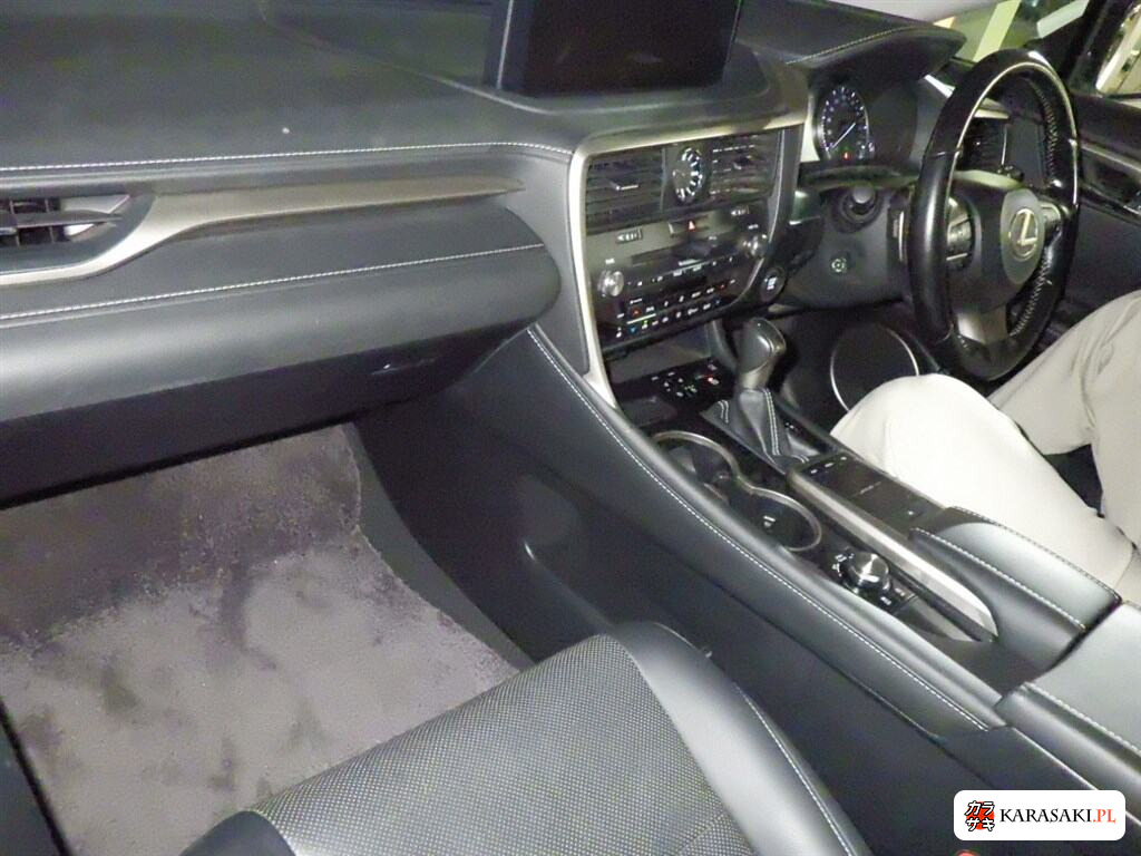 2019 Lexus RX RX300 5