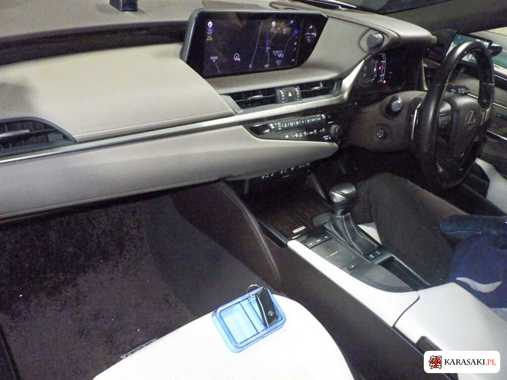 2019 Lexus Es ES300H Version L 5