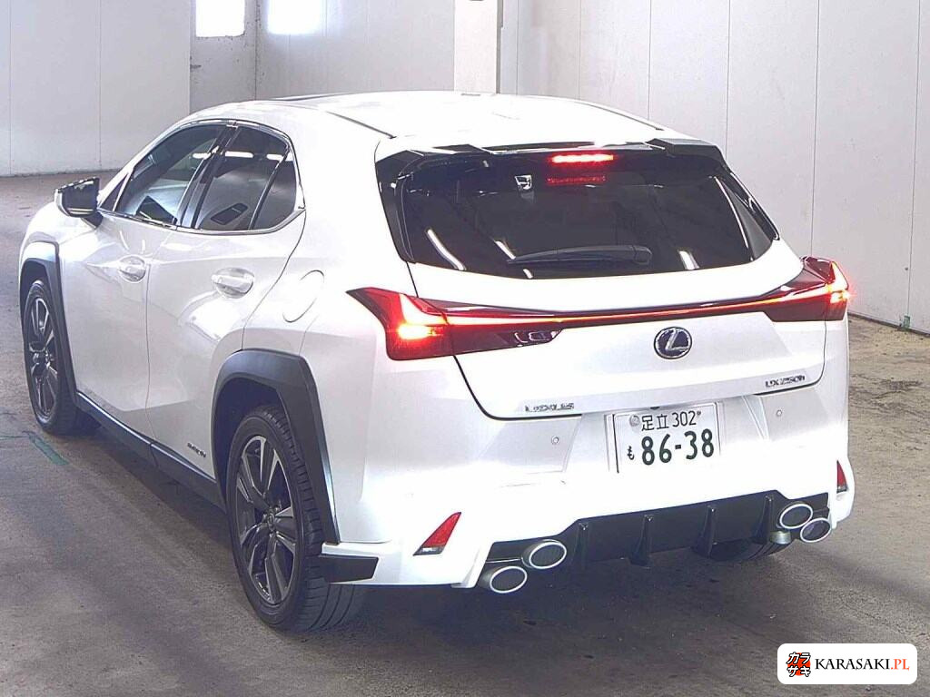 2019 Lexus Ux UX250H Version L 2