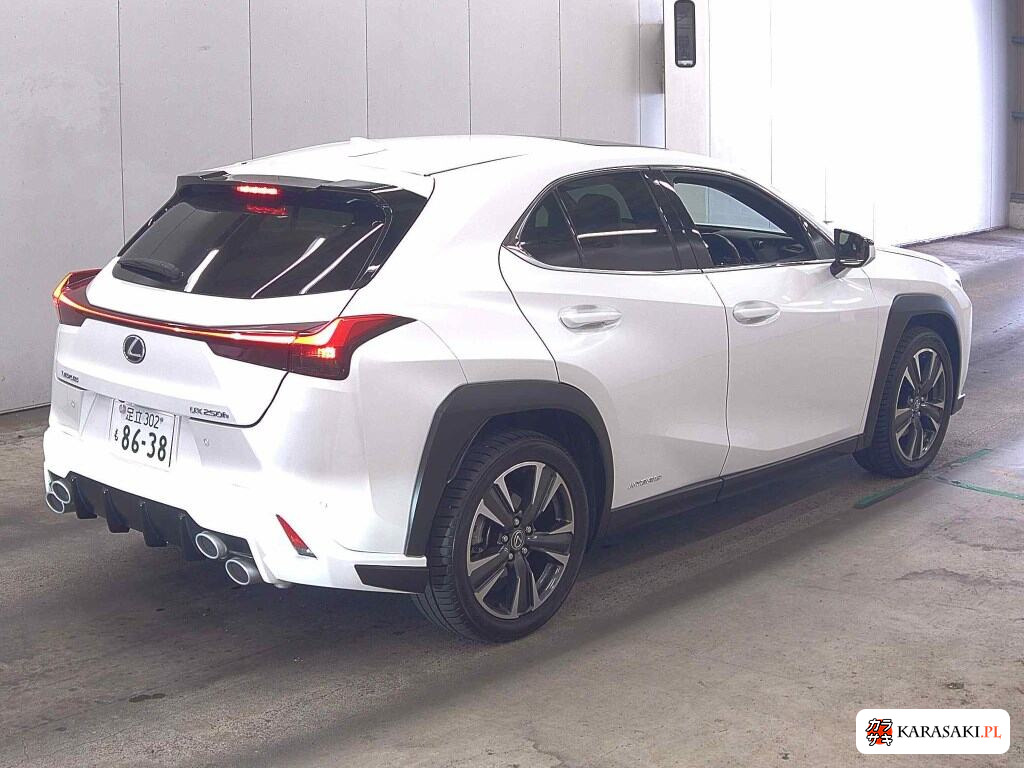 2019 Lexus Ux UX250H Version L 4