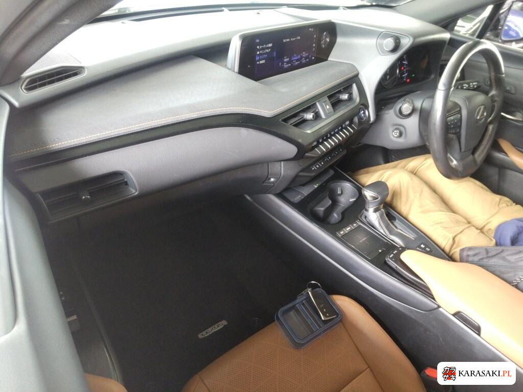2019 Lexus Ux UX250H Version L 5