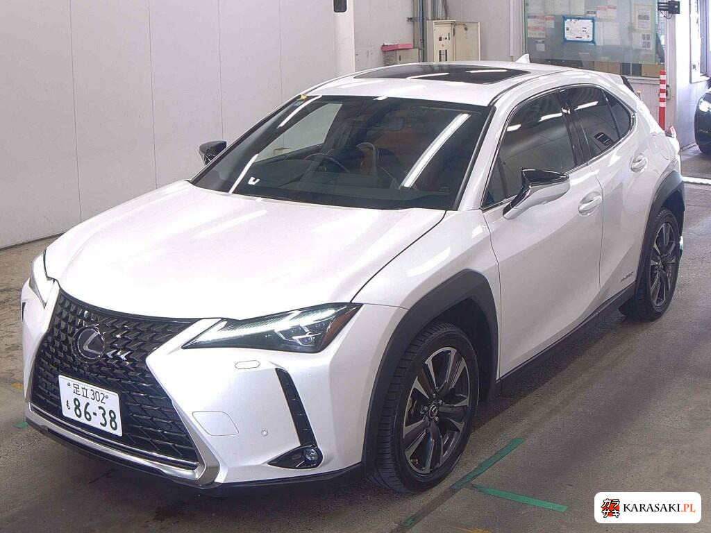 2019 Lexus Ux UX250H Version L 3