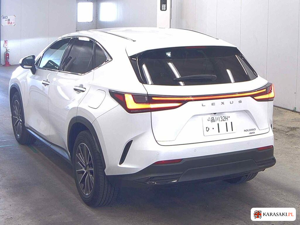 2023 Lexus NX 4WD NX250 Version L 2