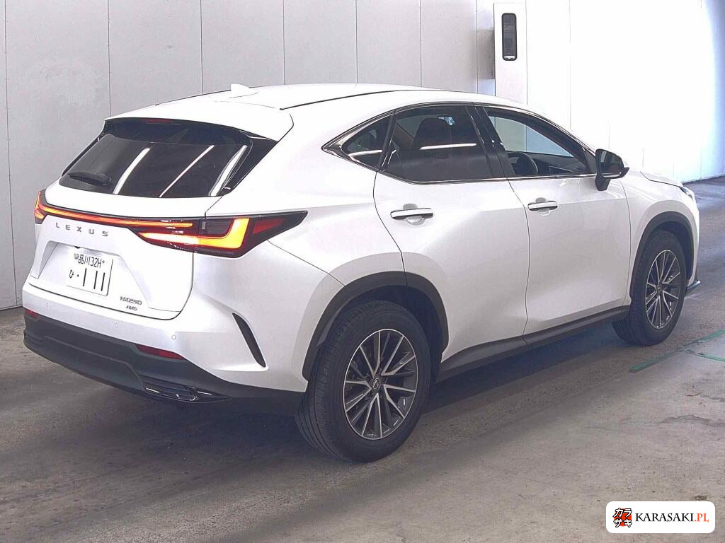 2023 Lexus NX 4WD NX250 Version L 4