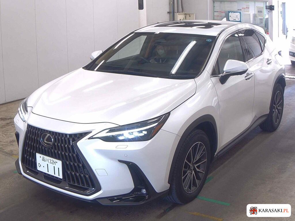 2023 Lexus NX 4WD NX250 Version L 3