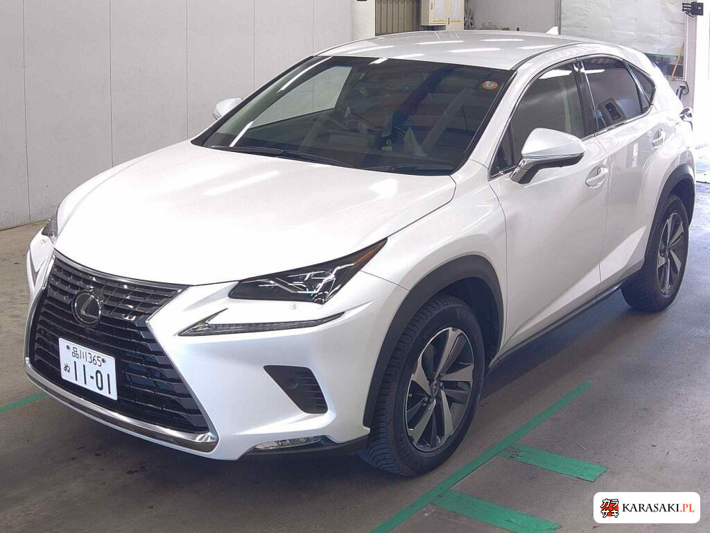 2018 Lexus NX NX300 I Package 3