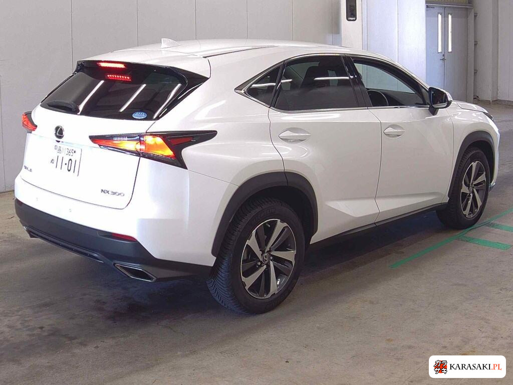 2018 Lexus NX NX300 I Package 4