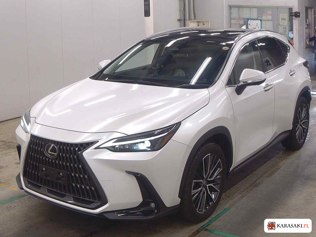 2023 Lexus NX NX350H 3