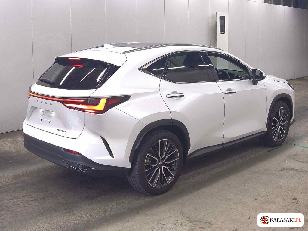 2023 Lexus NX NX350H 4