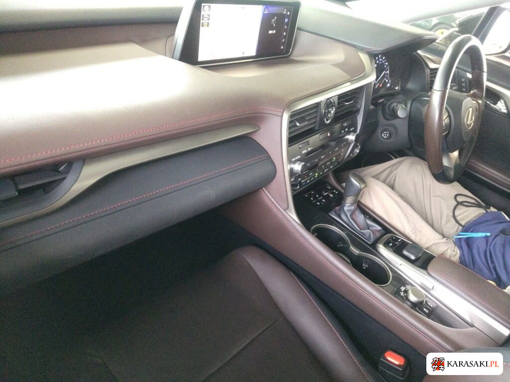 2019 Lexus RX RX300 Black Sequence 5