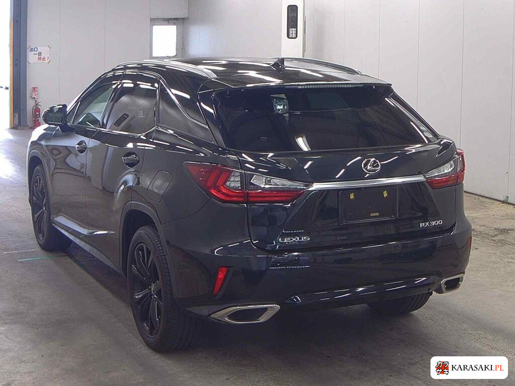 2019 Lexus RX RX300 Black Sequence 2