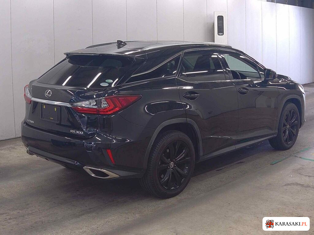 2019 Lexus RX RX300 Black Sequence 4