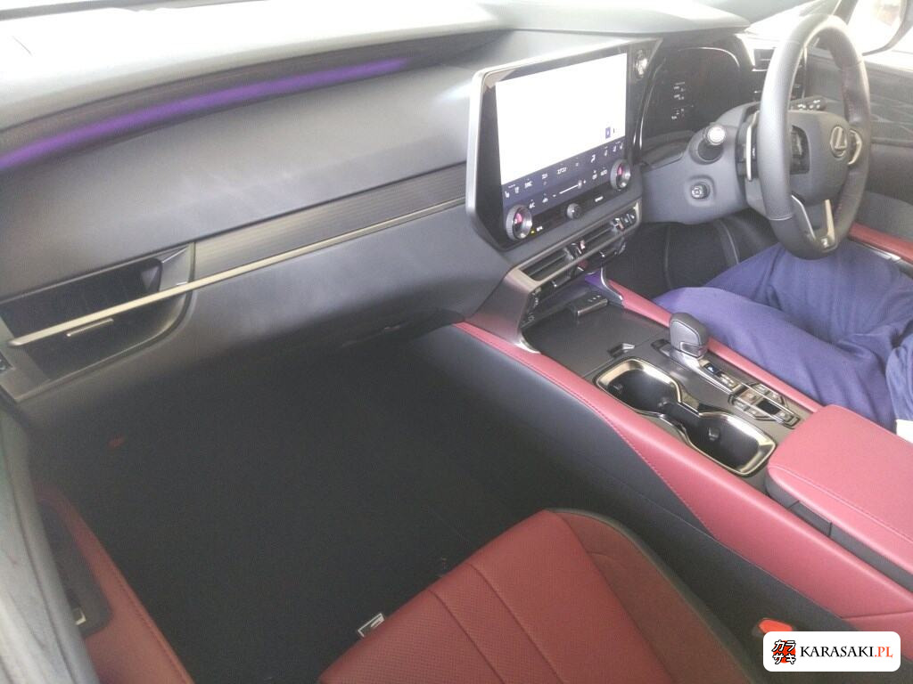 2025 Lexus RX 4WD F Sport 5