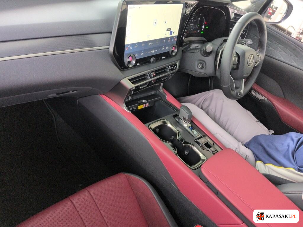 2023 Lexus RX 4WD RX500H F Sport Performance 5