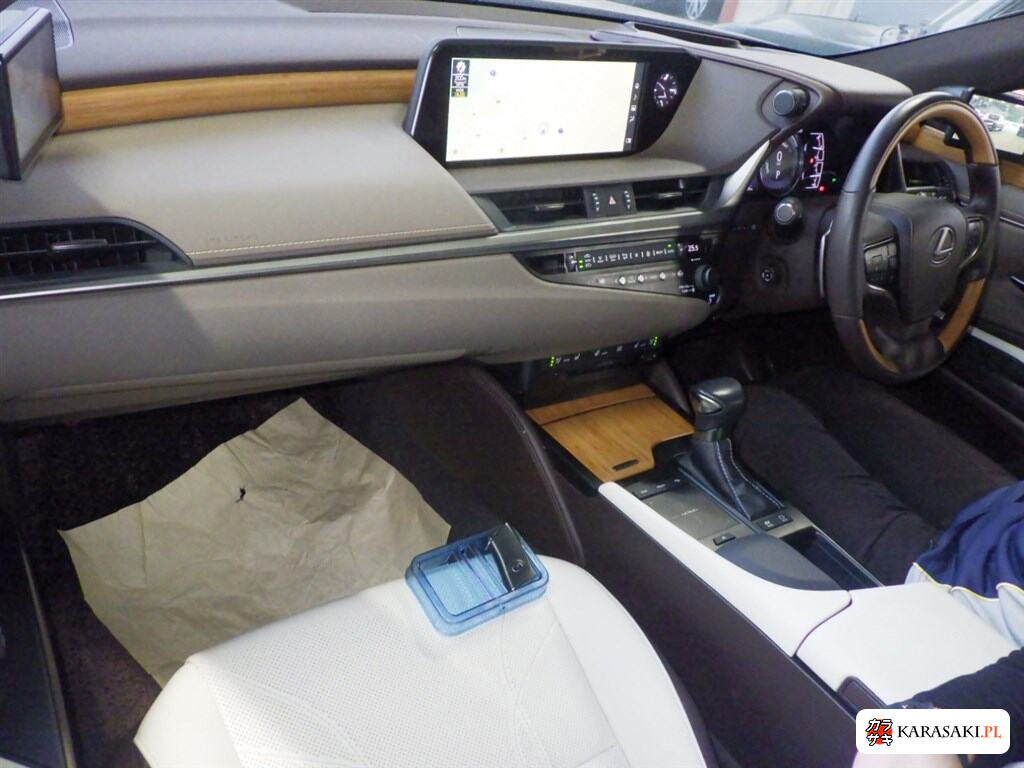 2019 Lexus Es ES300H Version L 5