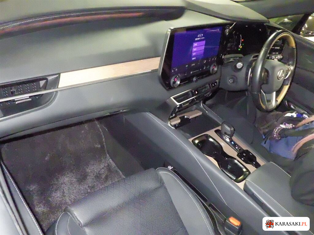 2024 Lexus RX RX350H Version L 5