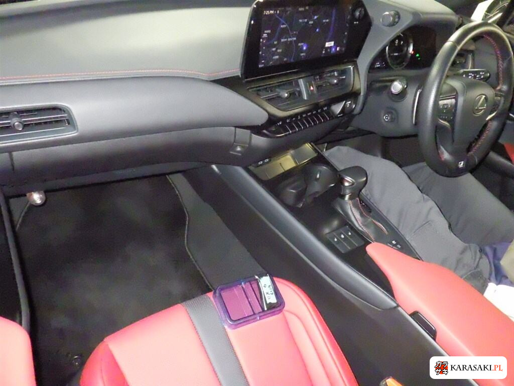 2022 Lexus Ux 4WD UX250H F Sport 5