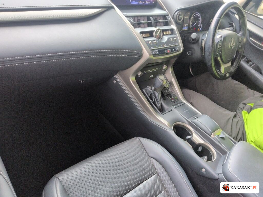 2020 Lexus NX NX300H F Sport 5