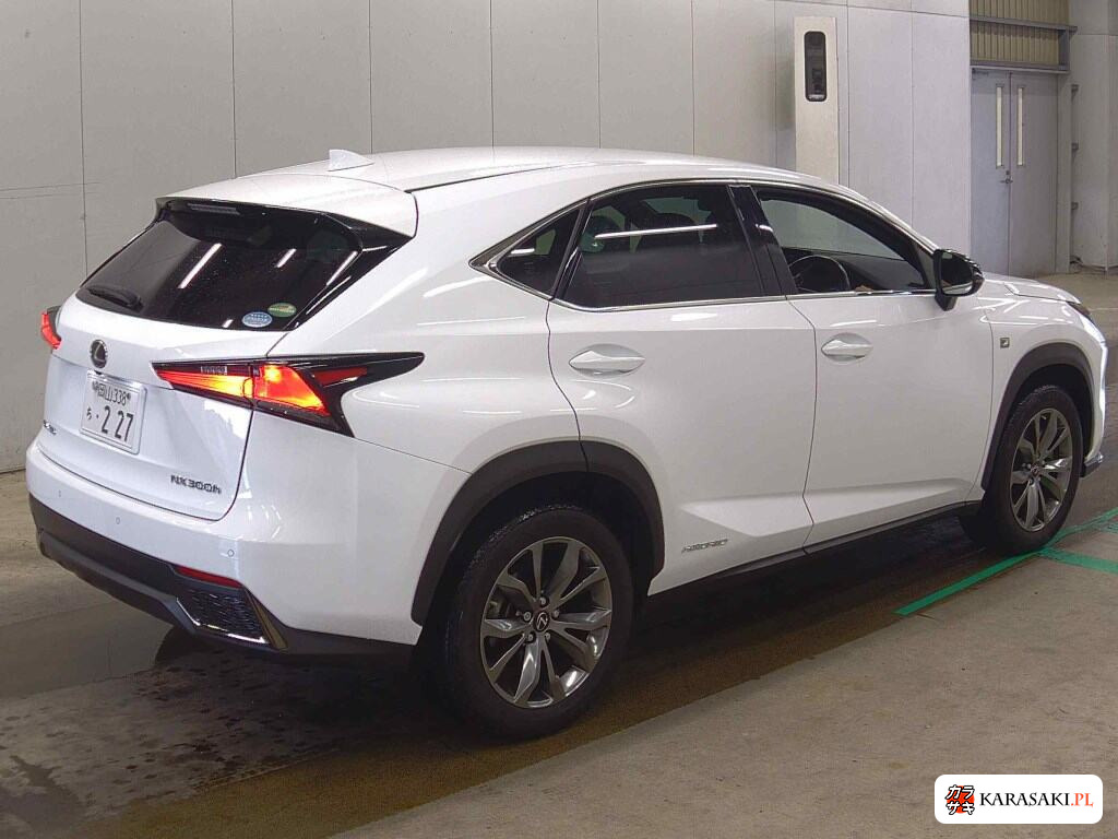 2020 Lexus NX NX300H F Sport 4