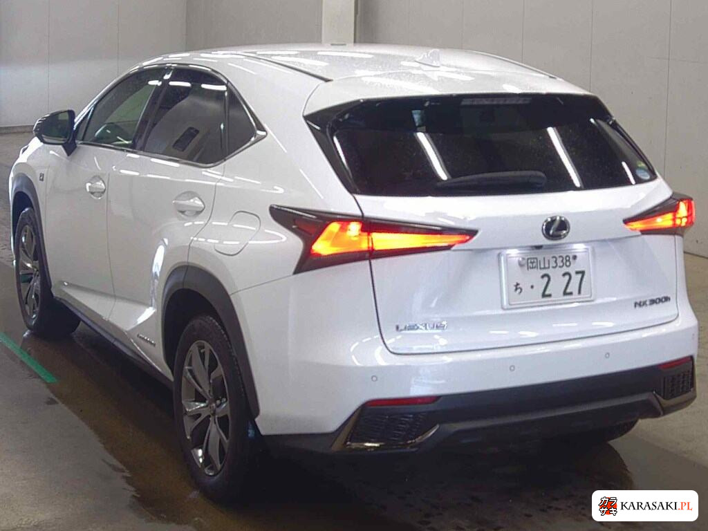 2020 Lexus NX NX300H F Sport 2