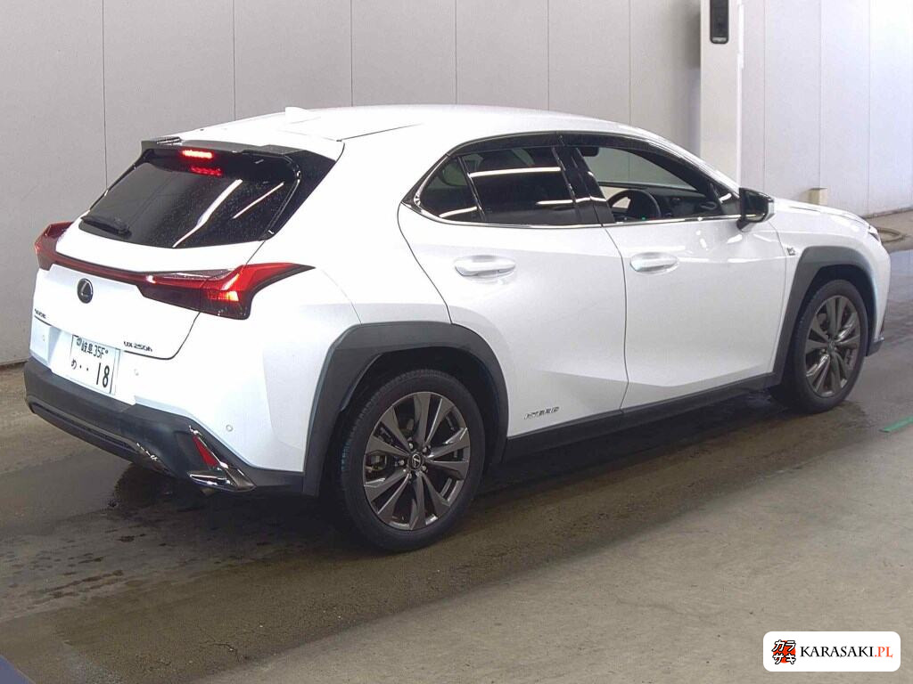 2020 Lexus Ux UX250H F Sport 4