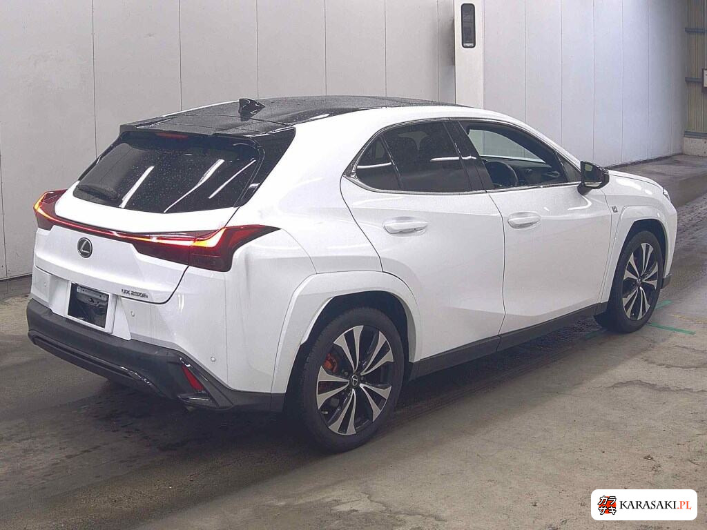 2023 Lexus Ux UX250H F Sport Emotional Explorer 4