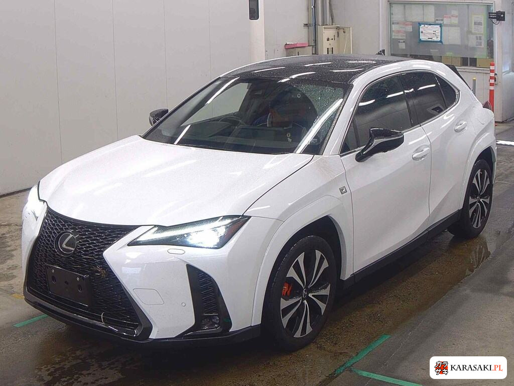2023 Lexus Ux UX250H F Sport Emotional Explorer 3