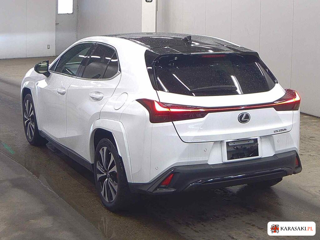 2023 Lexus Ux UX250H F Sport Emotional Explorer 2