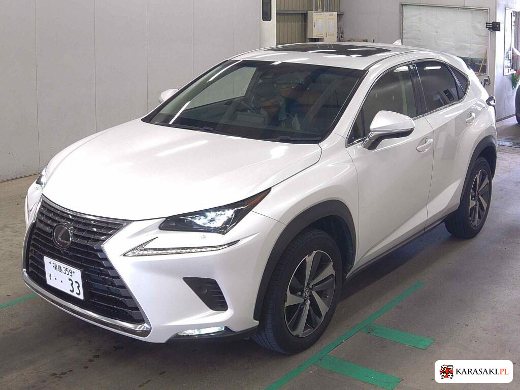 2018 Lexus NX NX300 I Package 3