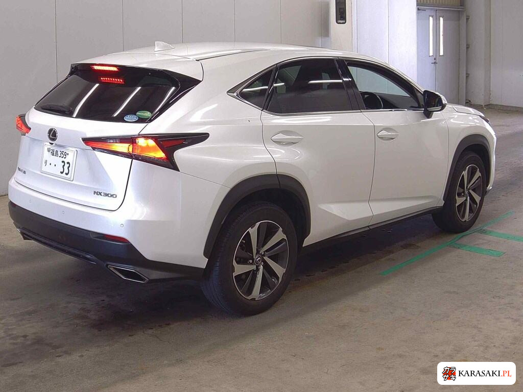 2018 Lexus NX NX300 I Package 4