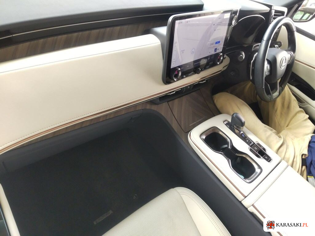 2024 Lexus LM 4WD LM500H Version L 5