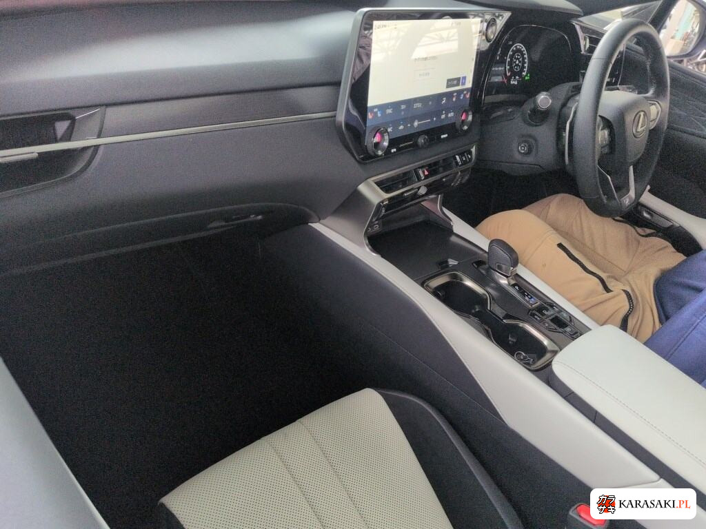 2025 Lexus RX 4WD F Sport 5