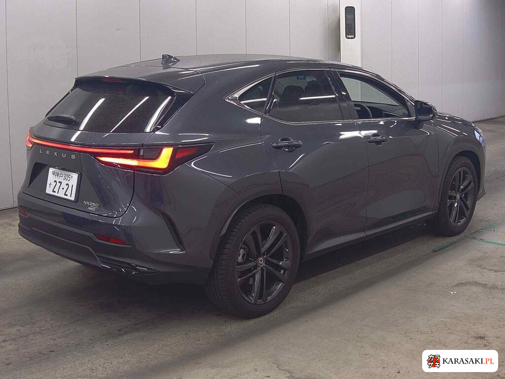 2022 Lexus NX 4WD NX250 Version L 4