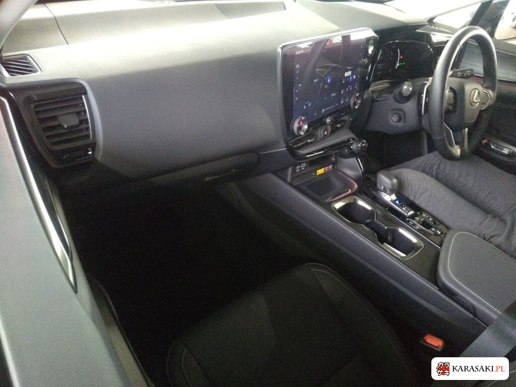 2022 Lexus NX 4WD NX250 Version L 5