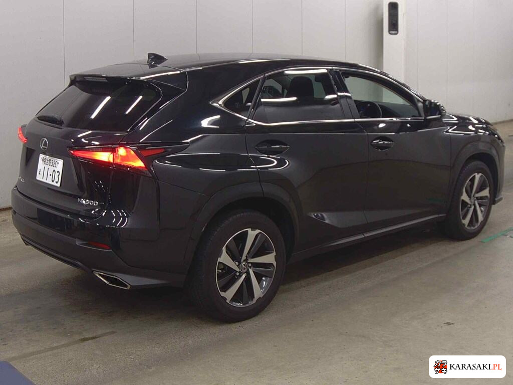 2020 Lexus NX NX300 Special Edition Spice And Chic 4