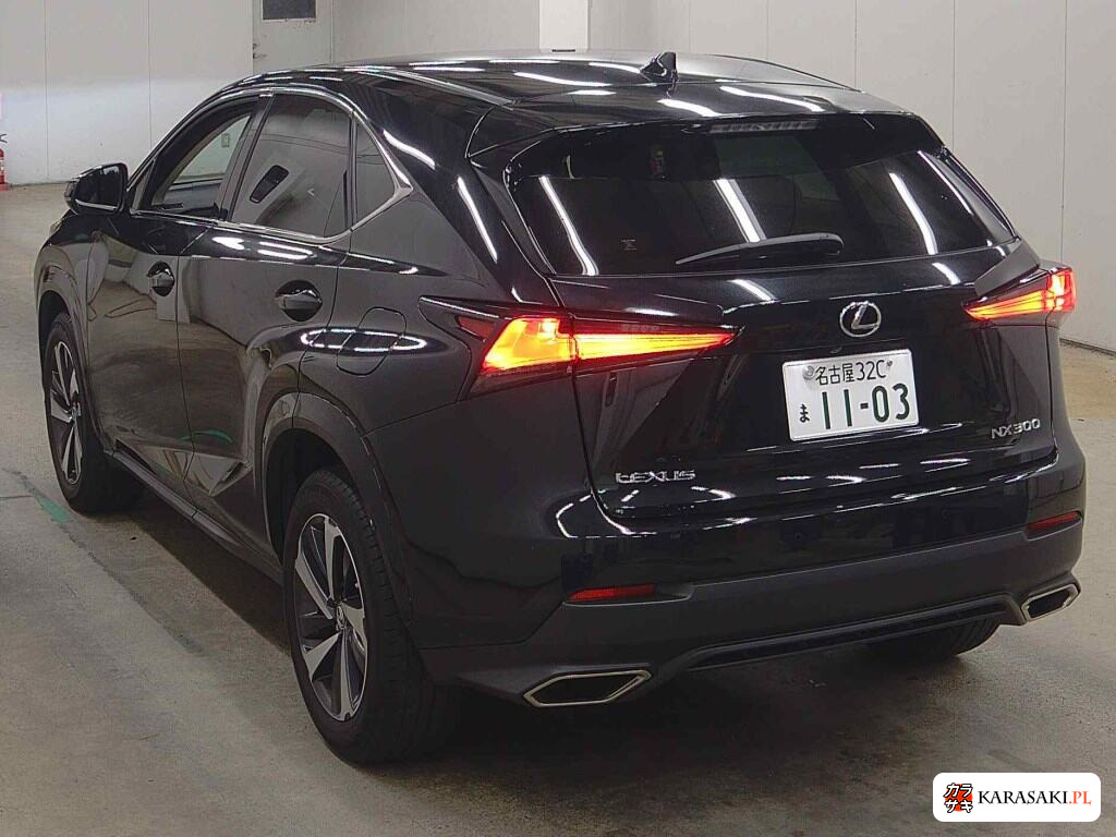 2020 Lexus NX NX300 Special Edition Spice And Chic 2