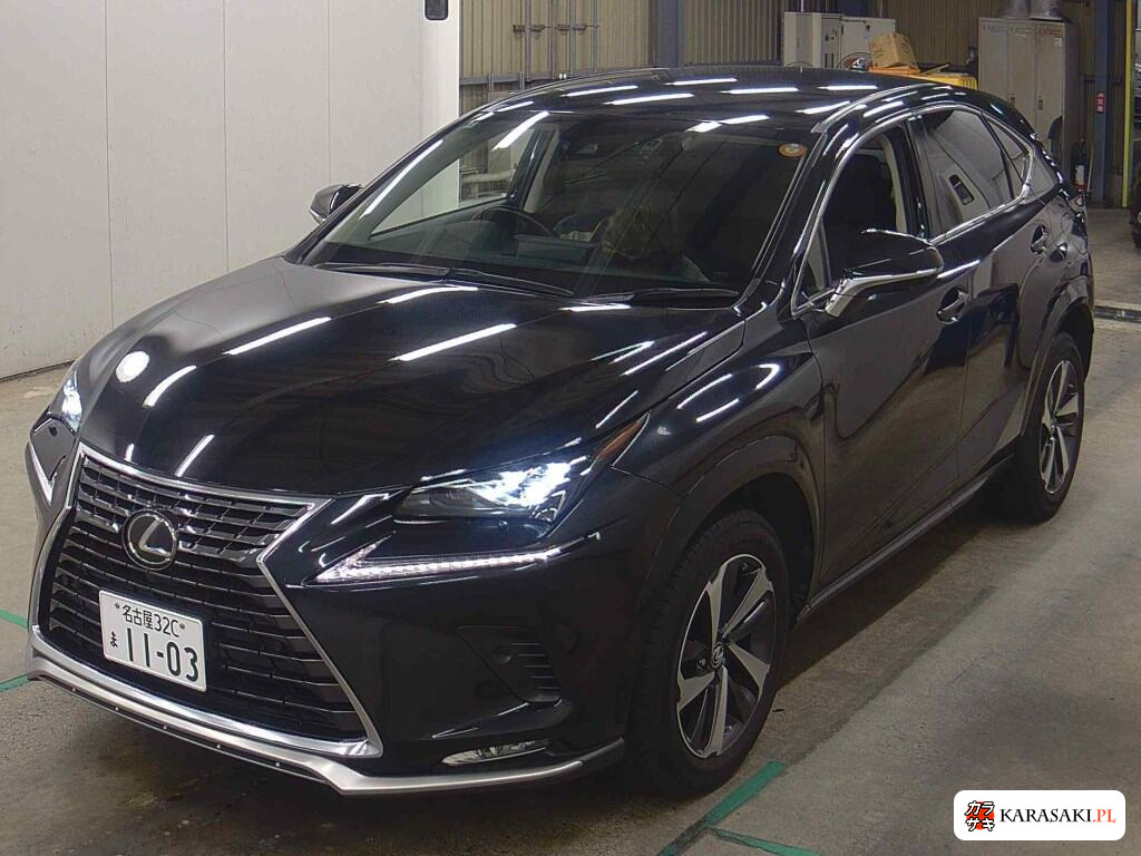2020 Lexus NX NX300 Special Edition Spice And Chic 3