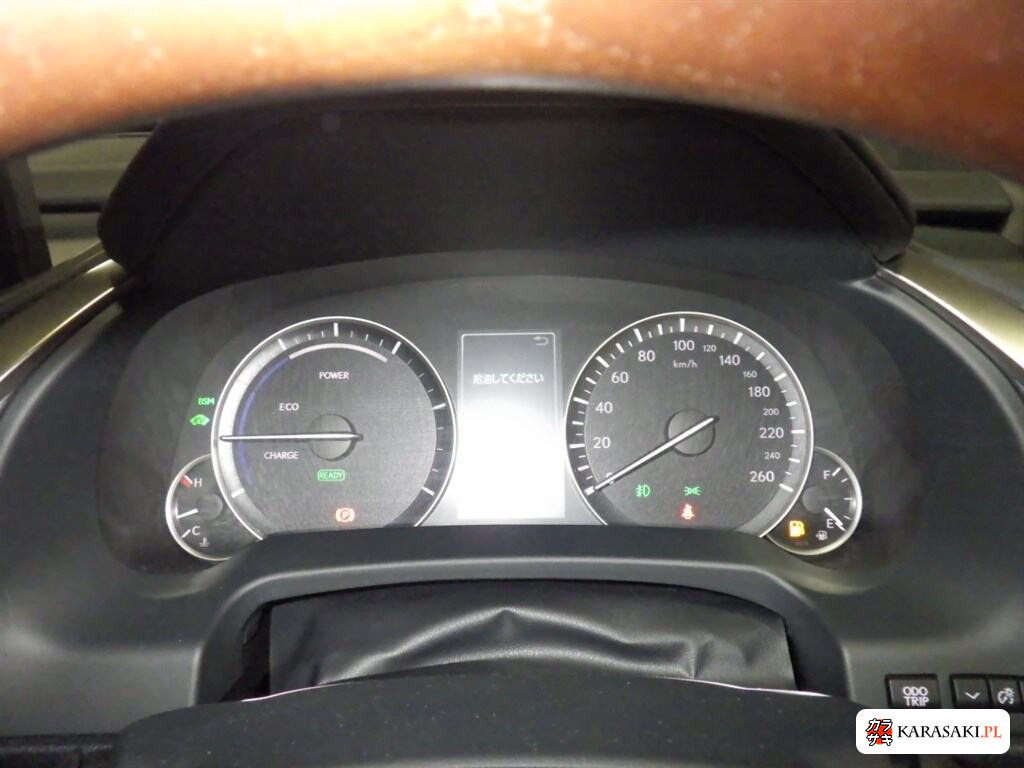 2021 Lexus RX RX450H Version L 6