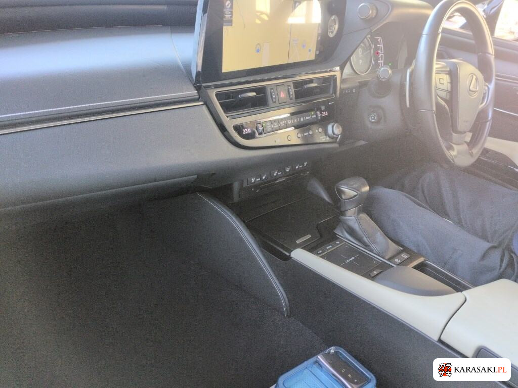 2021 Lexus Es ES300H Version L 5