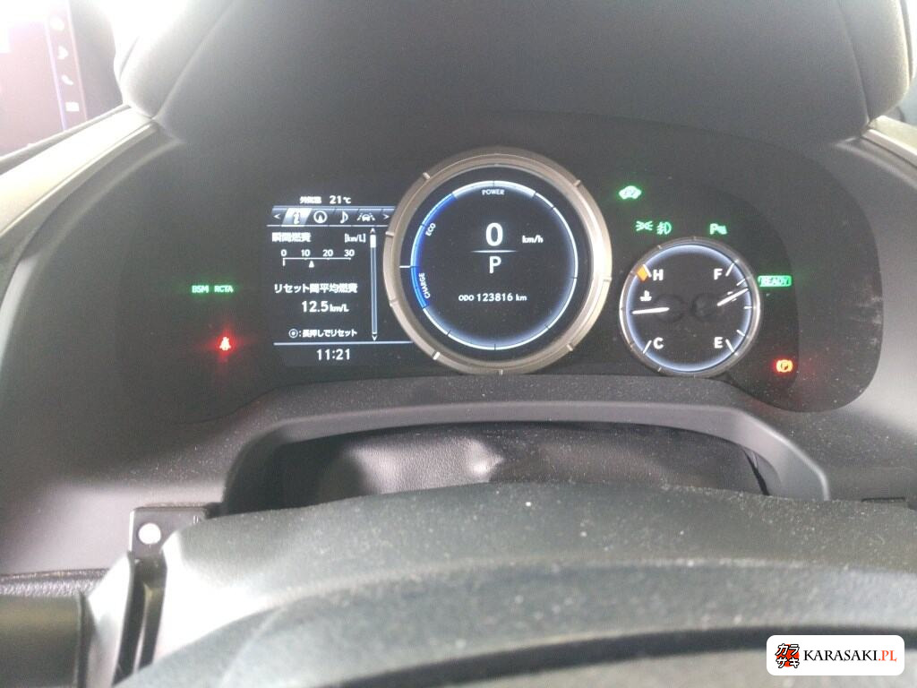 2016 Lexus RX 4WD RX450H F Sport 6