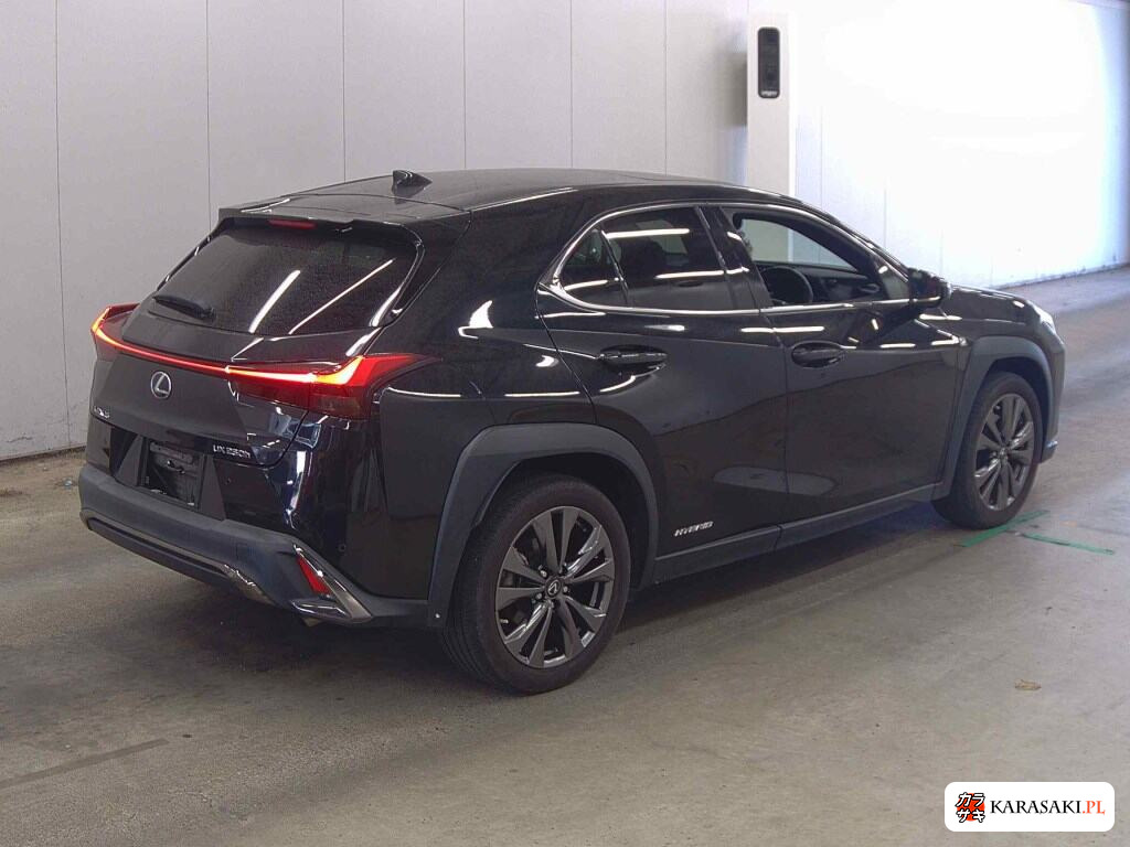 2021 Lexus Ux UX250H F Sport 4
