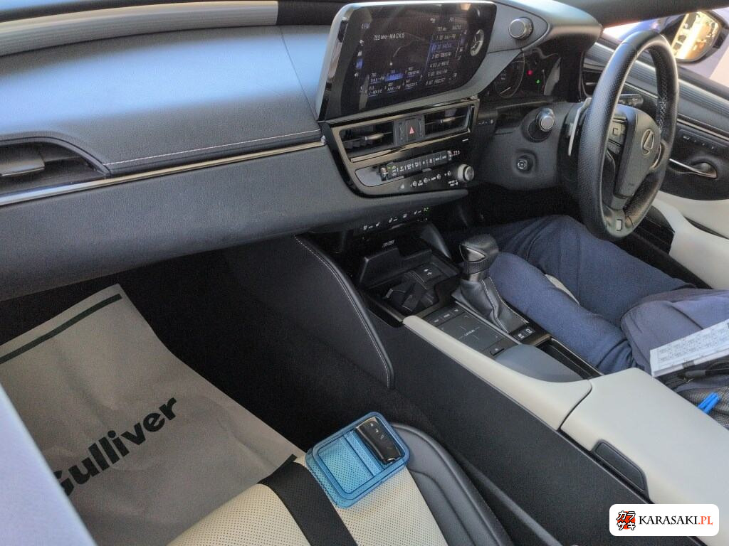 2021 Lexus Es ES300H F Sport 5