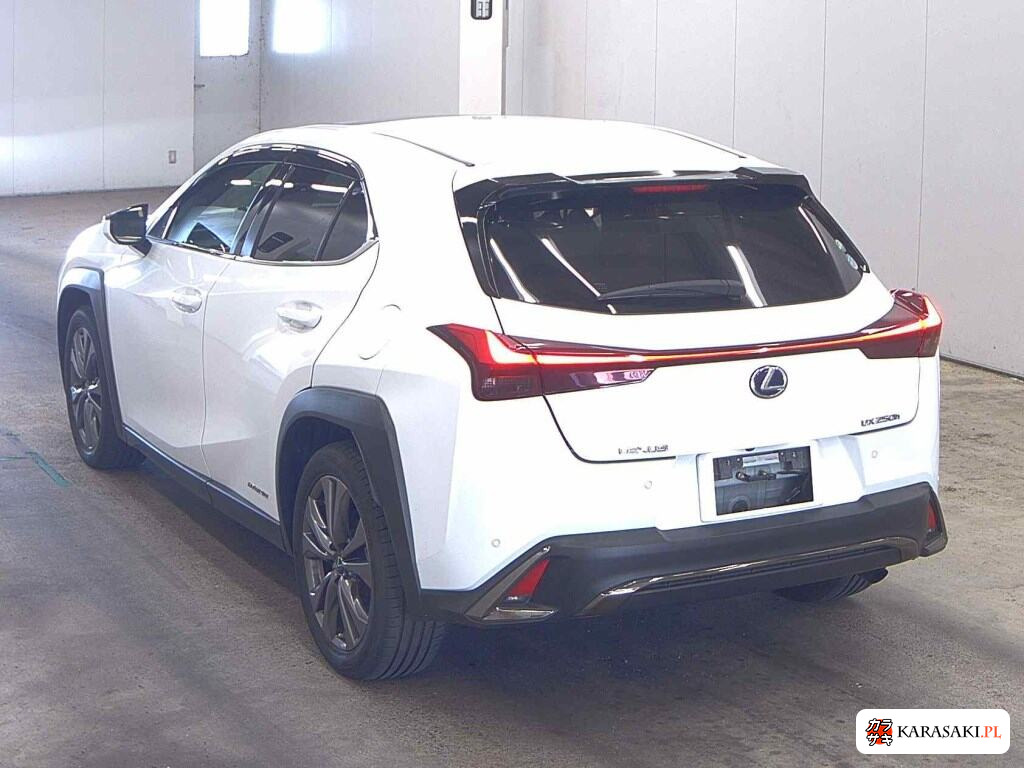 2019 Lexus Ux UX250H F Sport 2