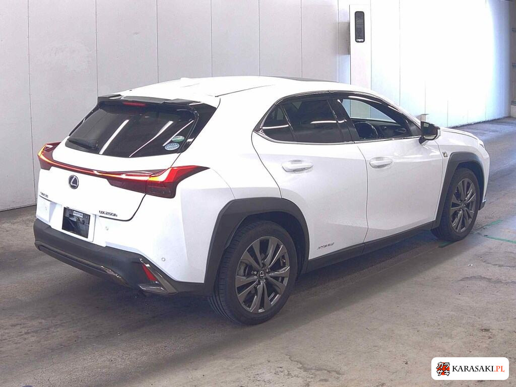2019 Lexus Ux UX250H F Sport 4
