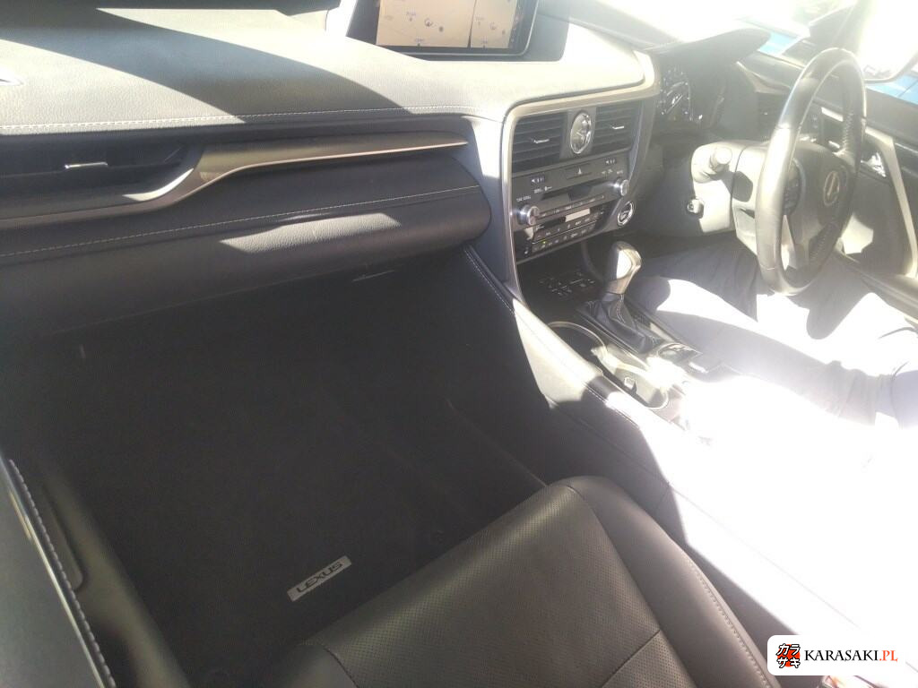 2019 Lexus RX RX450H Black Sequence 5