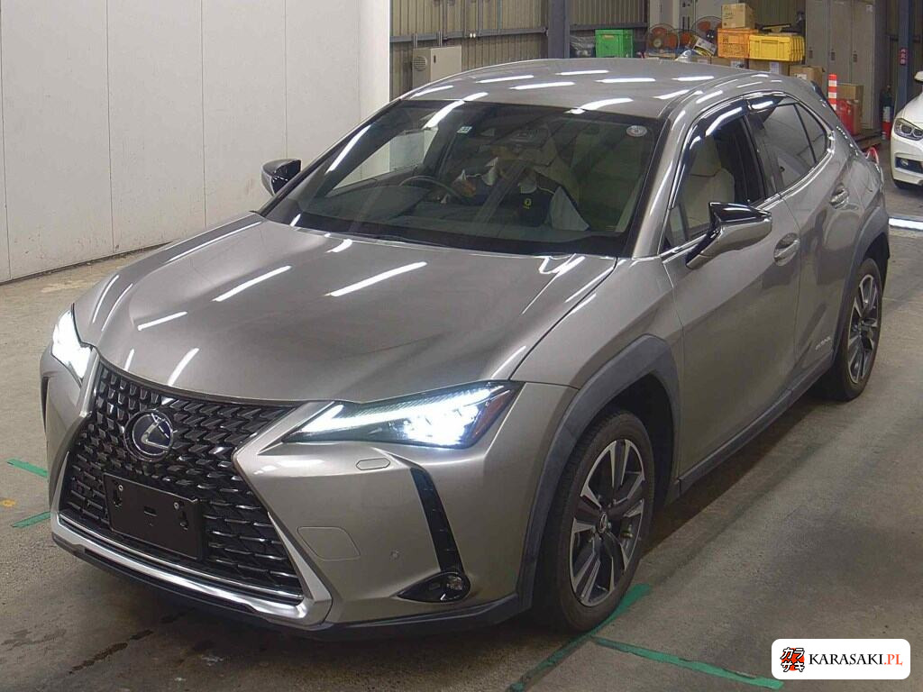 2019 Lexus Ux UX250H Version L 3