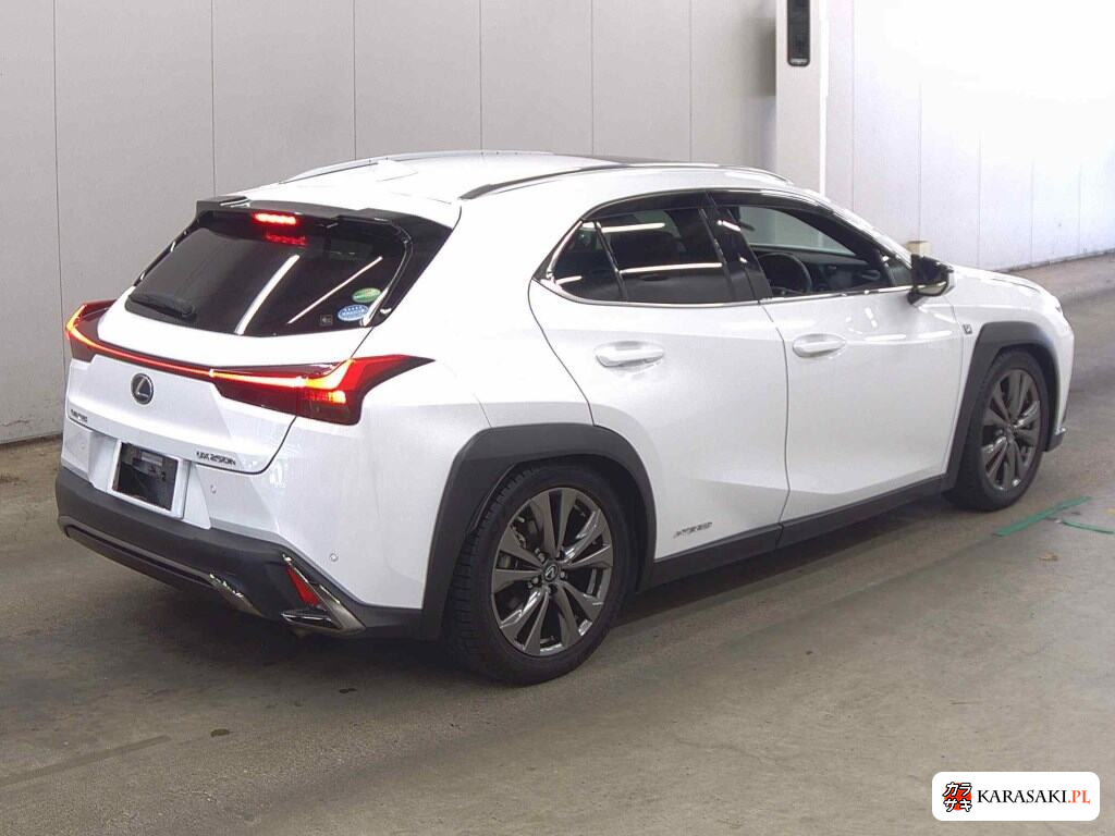 2019 Lexus Ux UX250H F Sport 4