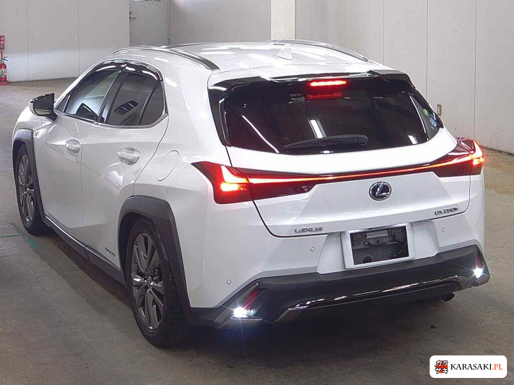 2019 Lexus Ux UX250H F Sport 2