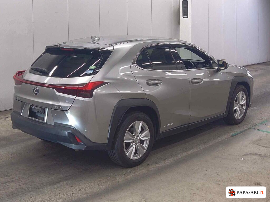 2019 Lexus Ux UX250H Version C 4